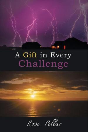 bigCover of the book A Gift in Every Challenge by 