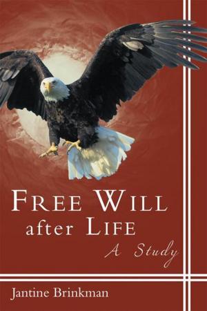 Cover of the book Free Will After Life by Sarah Crowley