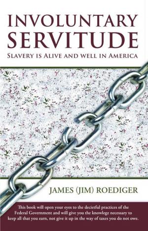 Cover of the book Involuntary Servitude by Paula Lenz