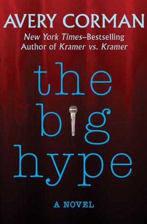 Cover of the book The Big Hype by May Sarton