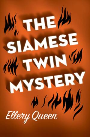 bigCover of the book The Siamese Twin Mystery by 