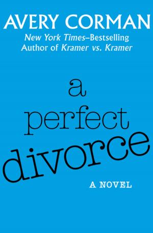 bigCover of the book A Perfect Divorce by 