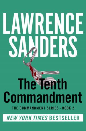 Cover of the book The Tenth Commandment by Liz Roadifer