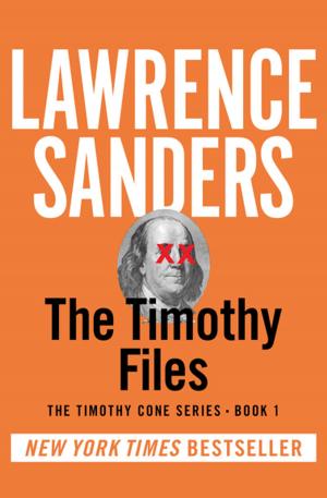 Cover of the book The Timothy Files by Bruce Jay Friedman