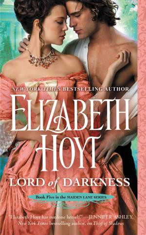 Cover of the book Lord of Darkness by Jeff Abbott