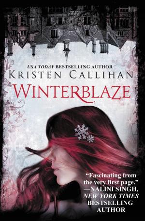Cover of the book Winterblaze by Sara Blaedel