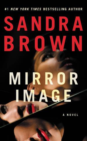 Cover of the book Mirror Image by Gunjan Bagla