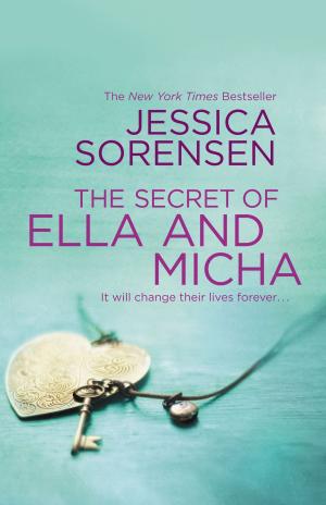 Book cover of The Secret of Ella and Micha