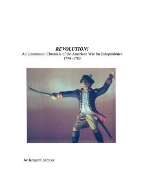 Cover of the book Revolution An Uncommon Chronicle of the American War for Independence by Marilina Lipsman, Anahí Mansur, Heber Roig, Carina Lion, Mariana Maggio