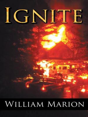 Cover of the book Ignite by M. E. Farruggia