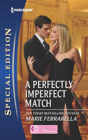 Cover of the book A Perfectly Imperfect Match by C.J. Miller