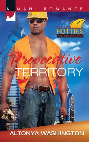 Cover of the book Provocative Territory by Kate Willoughby