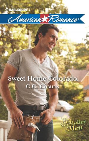 Cover of the book Sweet Home Colorado by Terri Brisbin