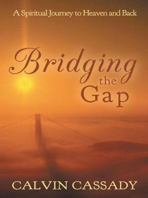 Cover of the book Bridging the Gap by Linda Wilson