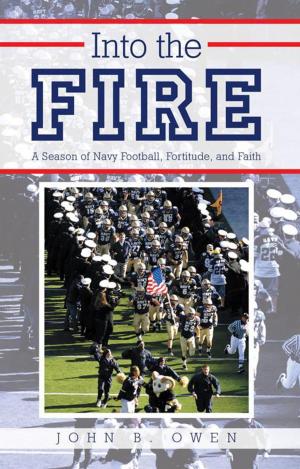Cover of the book Into the Fire by Mark Kelly