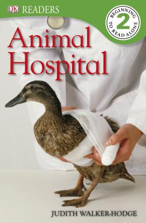 Cover of the book DK Readers L2: Animal Hospital by Sahara Rose Ketabi