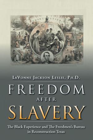 Book cover of Freedom After Slavery