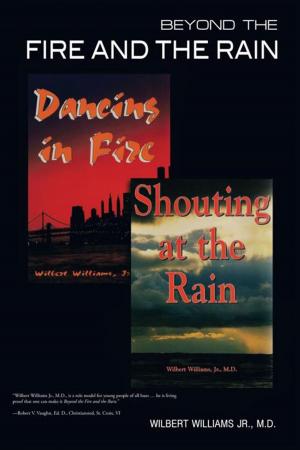 Cover of the book Beyond the Fire and the Rain by Parley J. Cooper