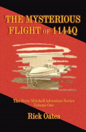 Cover of the book The Mysterious Flight of 1144Q by Dale Amidei