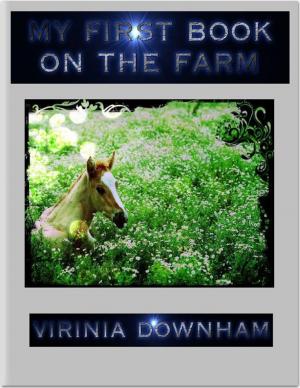 Book cover of My First Book on the Farm