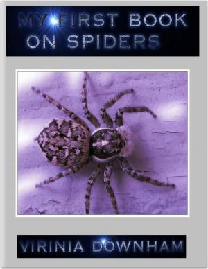 bigCover of the book My First Book On Spiders by 