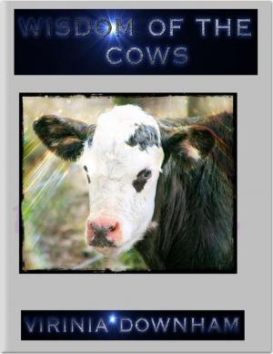 Book cover of Wisdom of the Cows