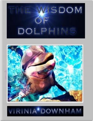 Book cover of Wisdom of Dolphins