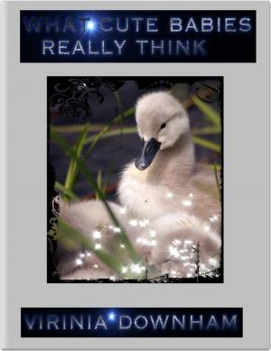 Cover of the book What Cute Babies Really Think by Jennifer Robinson