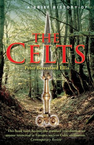 Book cover of A Brief History of the Celts