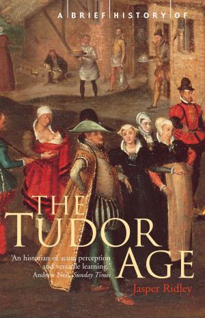 Cover of the book A Brief History of the Tudor Age by Phillip Khan-Panni