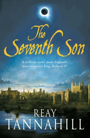 Book cover of The Seventh Son