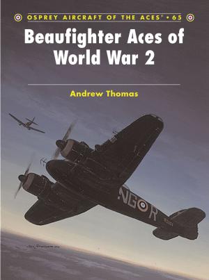 Book cover of Beaufighter Aces of World War 2