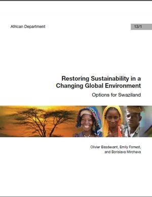 Cover of the book Restoring Sustainability in a Changing Global Environment: Options for Swaziland by Anne Ms. Gulde