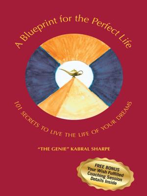 Cover of the book A Blueprint for the Perfect Life by Steve Salerno