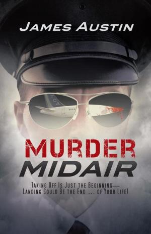 Cover of the book Murder Midair by John P. Calu