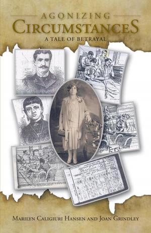 Cover of the book Agonizing Circumstances by Paul Treatman