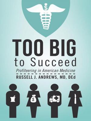 Cover of the book Too Big to Succeed by Kristina Sarkisyan