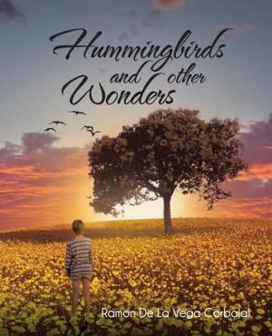 Cover of the book Hummingbirds and Other Wonders by Laura Lee Galan