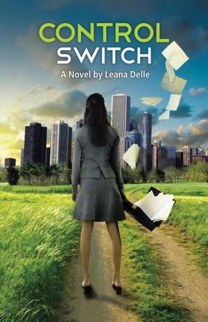 Cover of the book Control Switch by D. Eric Harris