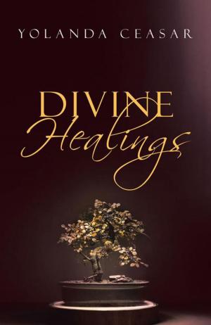 Cover of the book Divine Healings by Raymond D. Loewe