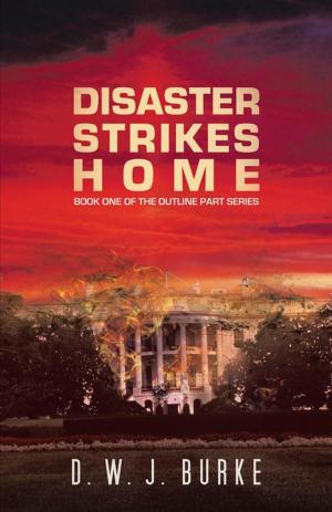 bigCover of the book Disaster Strikes Home by 