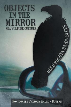 bigCover of the book Objects in the Mirror Aka Vulture Culture by 