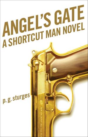 Cover of the book Angel's Gate by Chuck Klosterman