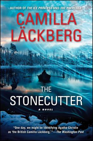 Cover of the book The Stonecutter by Mike Daisey