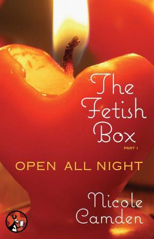 Cover of the book The Fetish Box, Part One by Judith McNaught