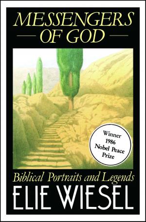 Cover of the book Messengers of God by David J. Barron
