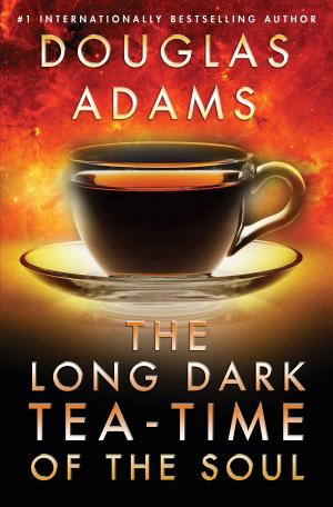 Cover of the book Long Dark Tea-Time of the Soul by Andrew Neiderman