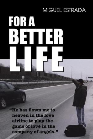 Book cover of For a Better Life