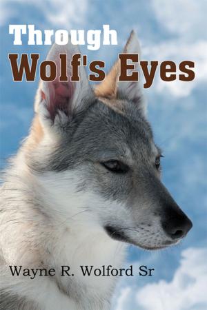 Cover of the book Through Wolf's Eyes by Joey Maddox