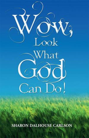 Cover of the book Wow, Look What God Can Do! by C. Joseph Socha